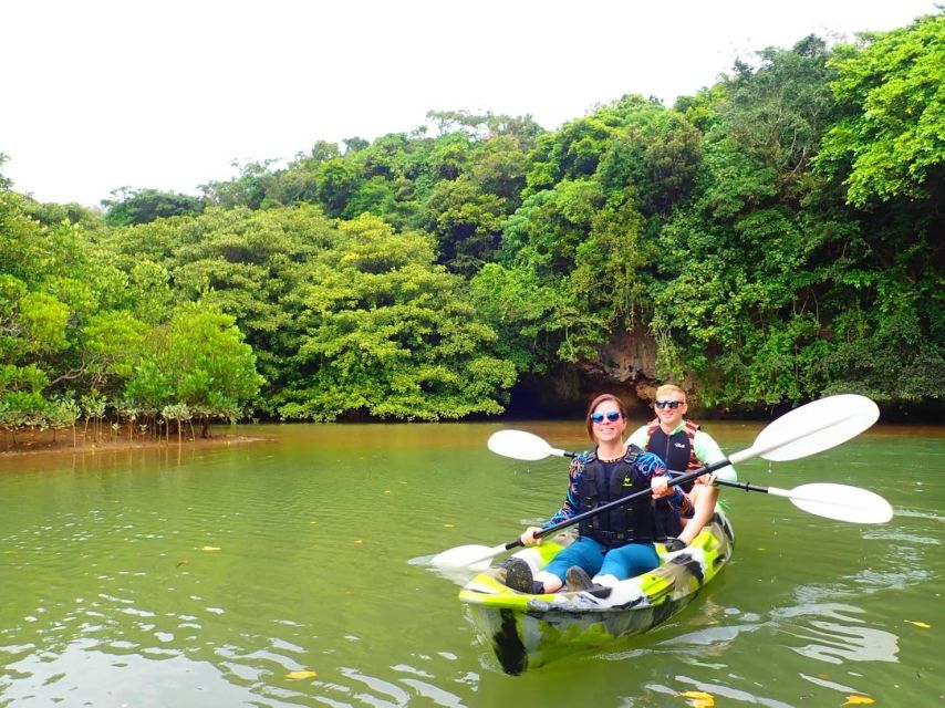 Ishigaki Island: 2-Hour Miyara River SUP or Canoeing Tour - Price and what you actually get for $54