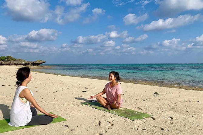 Ishigaki Island Private Tour by English Native Speaker - Stop 5: Yonekoyaki Craft Center, Shisa lion-dog artistry