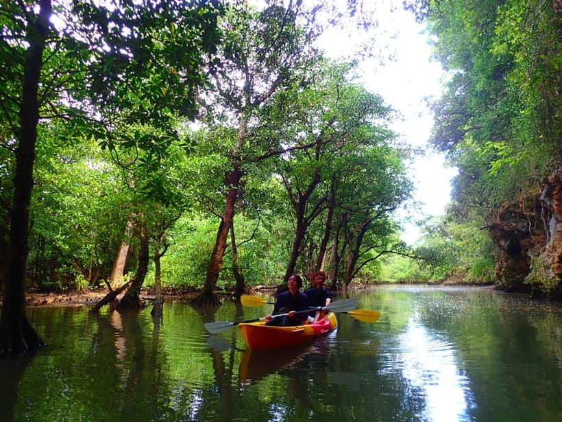 Ishigaki: Mangrove SUP or Canoe & Phantom Island Snorkeling - Key takeaways before you go