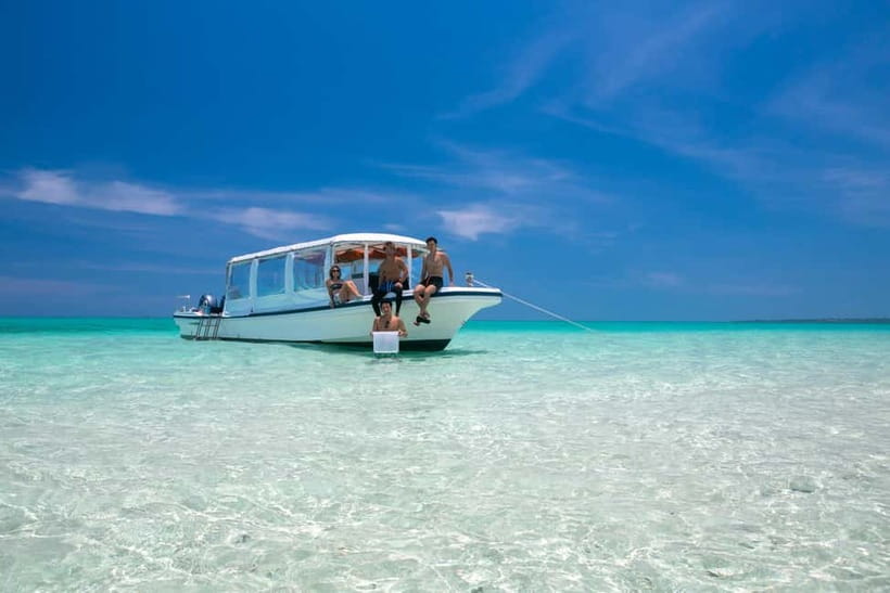 Ishigaki: Mangrove SUP or Canoe & Phantom Island Snorkeling - Mangrove canoeing and SUP on Miyara River’s hirugi forest