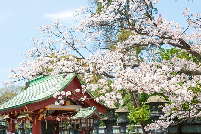 Japanese Food Experience Night Tour in Ueno - Key things that make this Ueno food night work