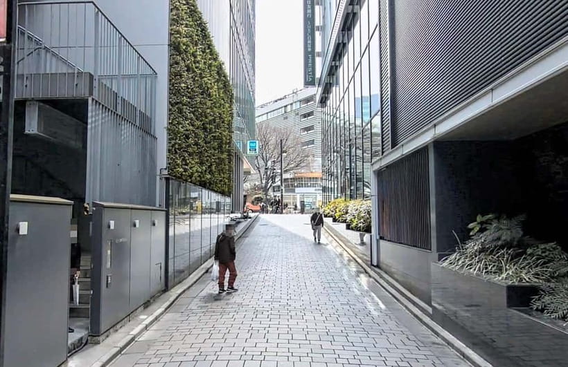 Kabukicho Macabre Tour - the Real Tokyo Vice - Key things I’d circle before you book