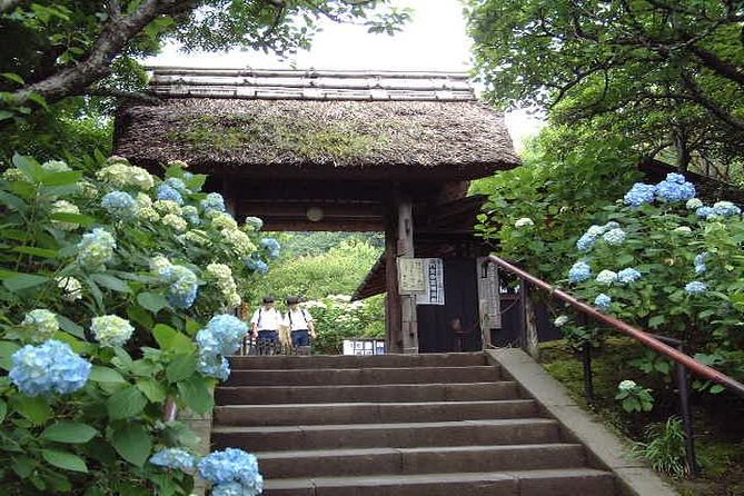 Kamakura 8 hr Private Walking Tour with Licensed Guide from Tokyo - Coins, hydrangeas, and Nichiren temples when you want variety