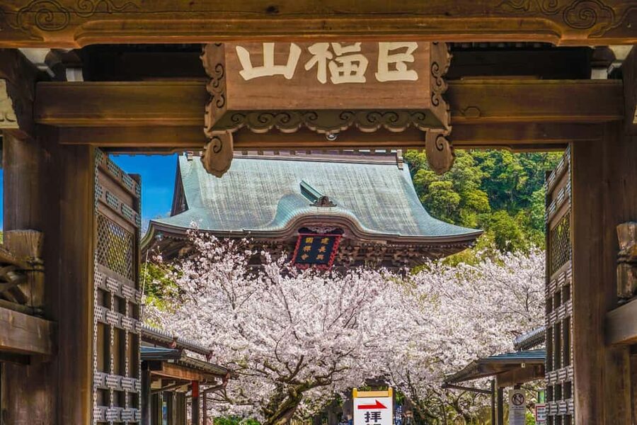 Kamakura: A Journey Through Medieval Japan - Key highlights worth centering your day