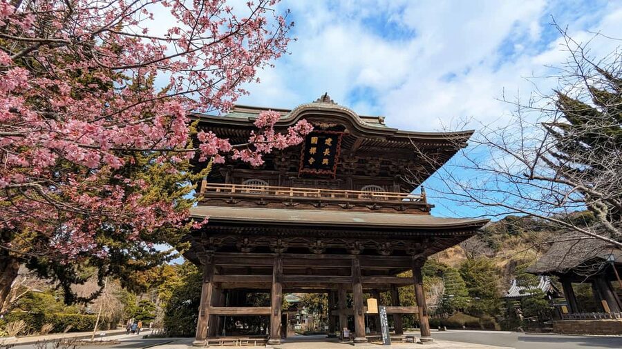 Kamakura: A Journey Through Medieval Japan - Tsurugaoka Hachimangu: Kamakura’s political heartbeat in shrine form