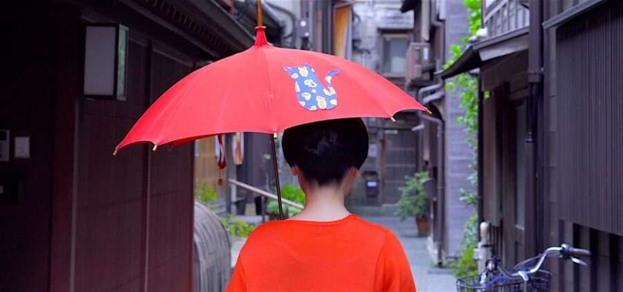 Kanazawa: Half-Day Private Guided Tour - Kanazawa Castle Grounds: Ishikawa Mon and the Maeda Gardens