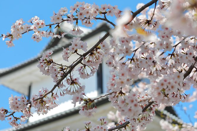 Kanazawa private 1 day/Photoshoot by professional photographer - Key things that make this Kanazawa photoshoot work