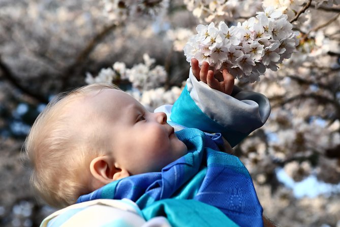 Kanazawa private 1 day/Photoshoot by professional photographer - Higashi Chaya District: chaya streets and easy photo moments