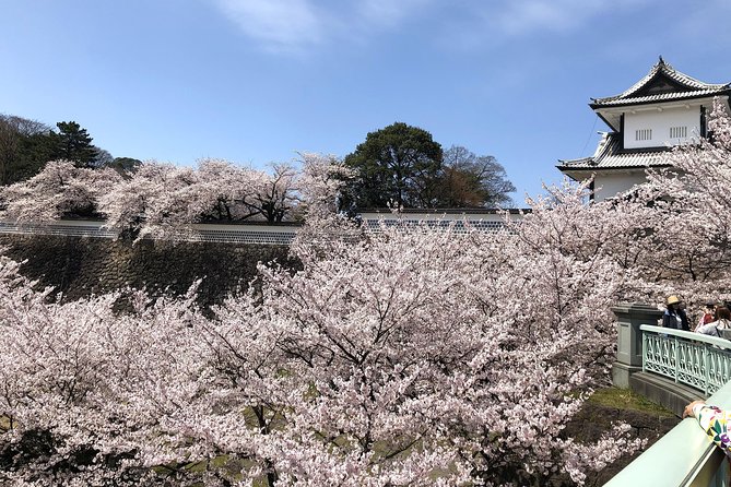 Kanazawa Private Tour: Highlights of an Old Samurai Town - D. T. Suzuki Museum: Zen culture through a Kanazawa birthplace