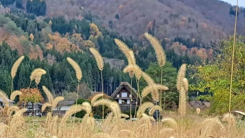 Kanazawa/Takayama: Shirakawago & Takayama Private Day Tour - Key points before you go