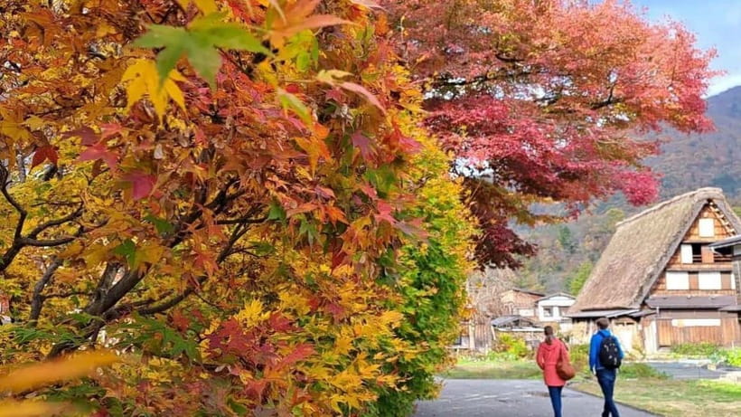 Kanazawa/Takayama: Shirakawago & Takayama Private Day Tour - A Private Day Through Shirakawa-go and Takayama, Without the Stampede