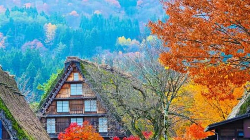 Kanazawa/Takayama: Shirakawago & Takayama Private Day Tour - The 8-Hour Rhythm: Van Time Plus Real Time on Foot