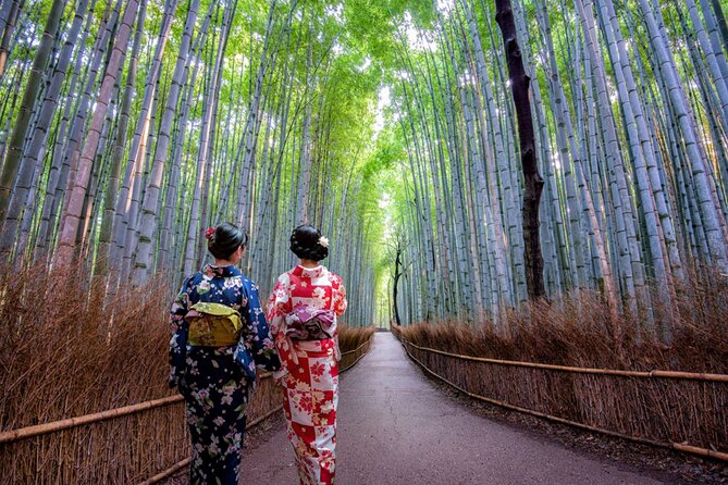 Katsuo-ji Temple, Arashiyama Forest, & Nara Park - Arashiyama Bamboo Grove: What to Notice in 90 Minutes