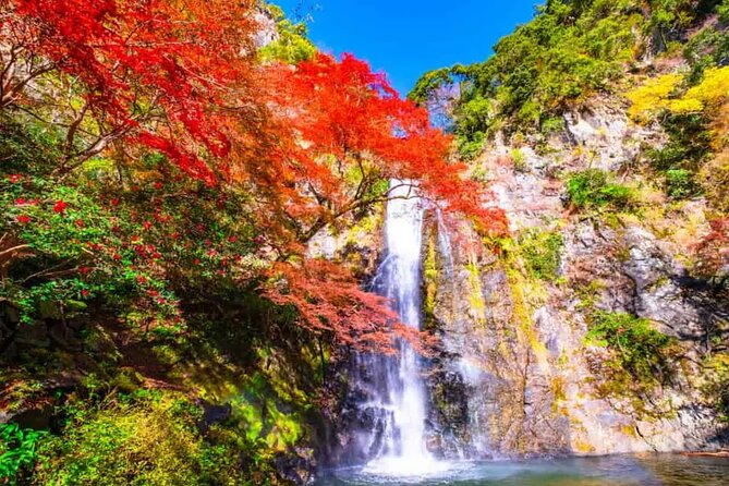 Katsuo-ji Temple, Arashiyama Forest, & Nara Park - Nara Park: Deer Encounters and Temple Energy