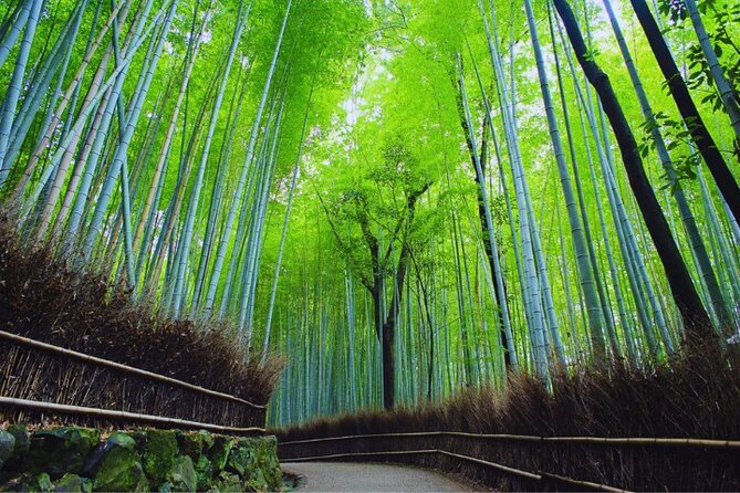 Katsuo-ji Temple, Arashiyama Forest, & Nara Park - How Guided This Really Is (and How to Make It Work)