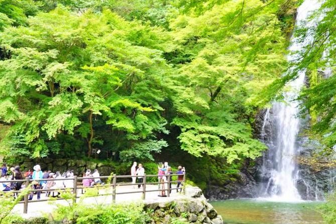 Katsuo-ji Temple, Arashiyama Forest, & Nara Park - Price and Value: What You Actually Get for $91.65