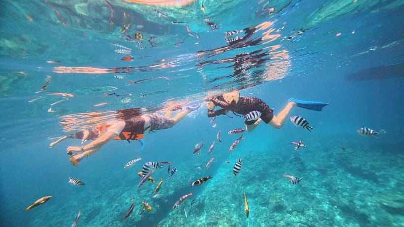 Kerama Half-Day Snorkeling Tour - Snorkeling rules that shape the whole experience