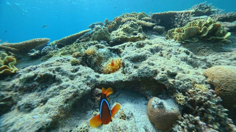 Kerama Half-Day Snorkeling Tour - Banana boat ride and the photo moment