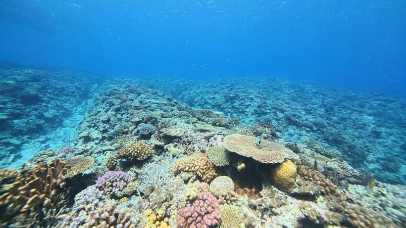 Kerama Half-Day Snorkeling Tour - The Kerama Blue cruise: what that boat time is for