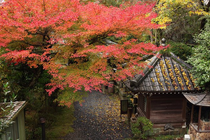 Kimono and Tea Ceremony in Miyajima - Dressing in kimono: choosing from 100+ and getting fitted
