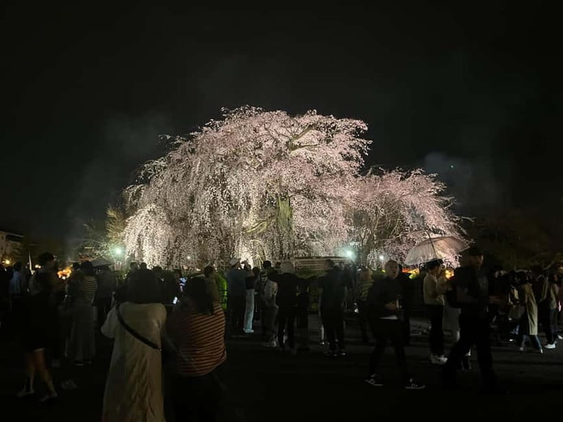 Kioto: Gion Tour, recorrido a pie (Español/Castellano) - Tatsumi Jinja and the calm stop that breaks up the walking
