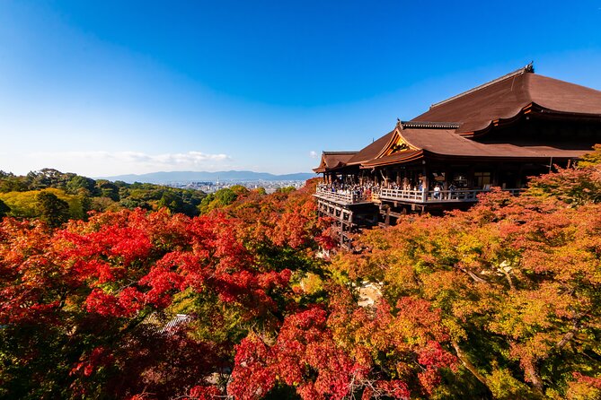 Kiyomizu Temple and Backstreets of Gion, Half Day Group Tour - Key things that make this tour worth your time