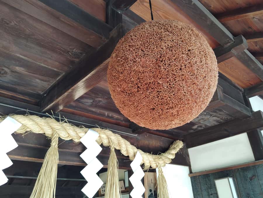 Kobe: 3-Hour Sake Breweries Tour with Special Tasting - Guides and group energy: why the right host matters