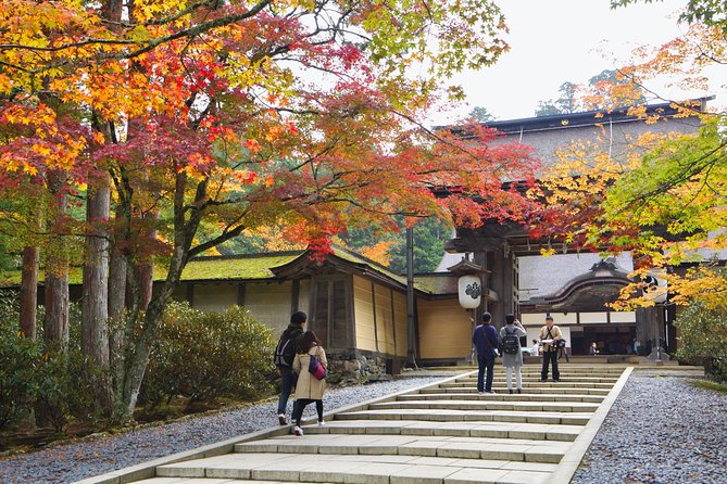 Koyasan Full-Day Private Tour - Okunoin: a cedar-shaded walk to Kobo Daishi’s mausoleum