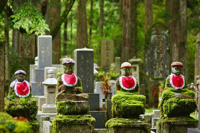 Koyasan Full-Day Private Tour - Why this private guide format feels different