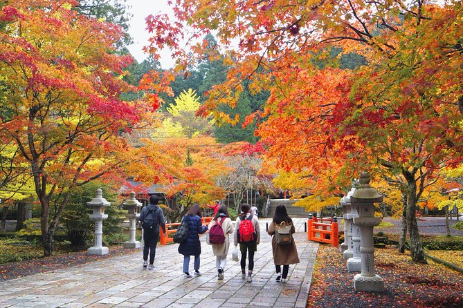 Koyasan Full-Day Private Tour - Price and value: what $131.78 really buys