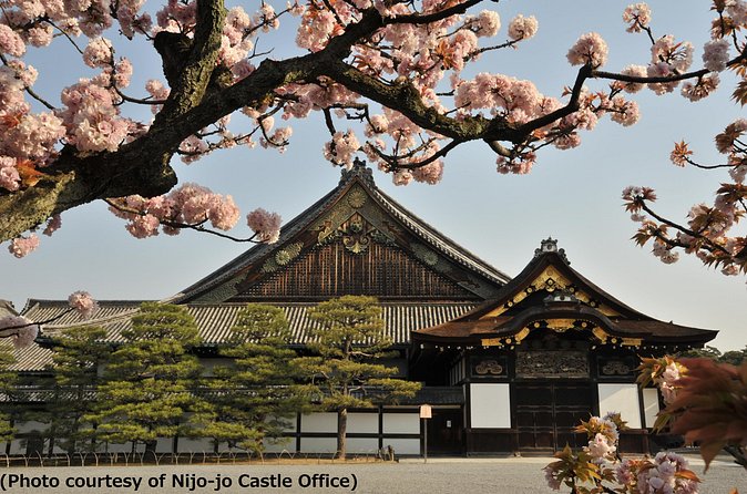 Kyoto 1 Day Tour from Osaka - Kyoto Imperial Palace, Fushimi Inari, and the Walk You Should Plan For
