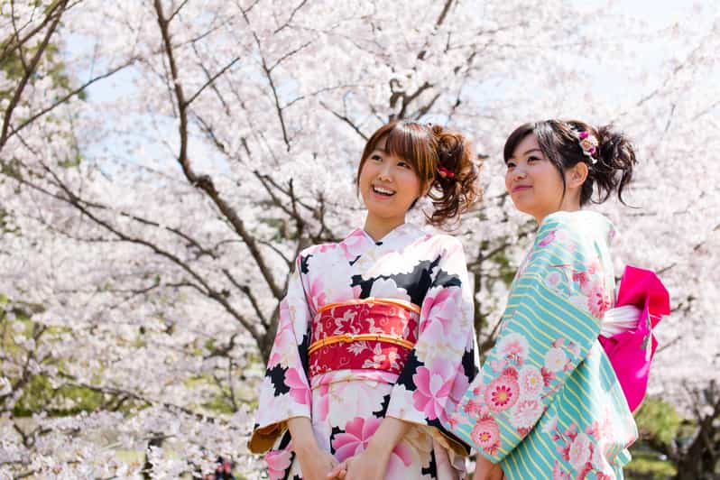 Kyoto: 1 Day Traditional Japanese Kimono Rental Experience - Price and value: what the base rental actually buys you