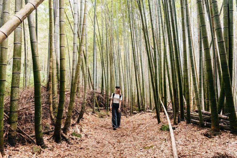 Kyoto: 3-Hour Fushimi Inari Shrine Hidden Hiking Tour - Why this route works when Fushimi Inari feels packed
