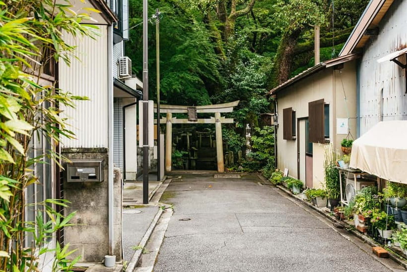 Kyoto: 3-Hour Fushimi Inari Shrine Hidden Hiking Tour - What you’ll really learn on the shrine side (not just the sights)