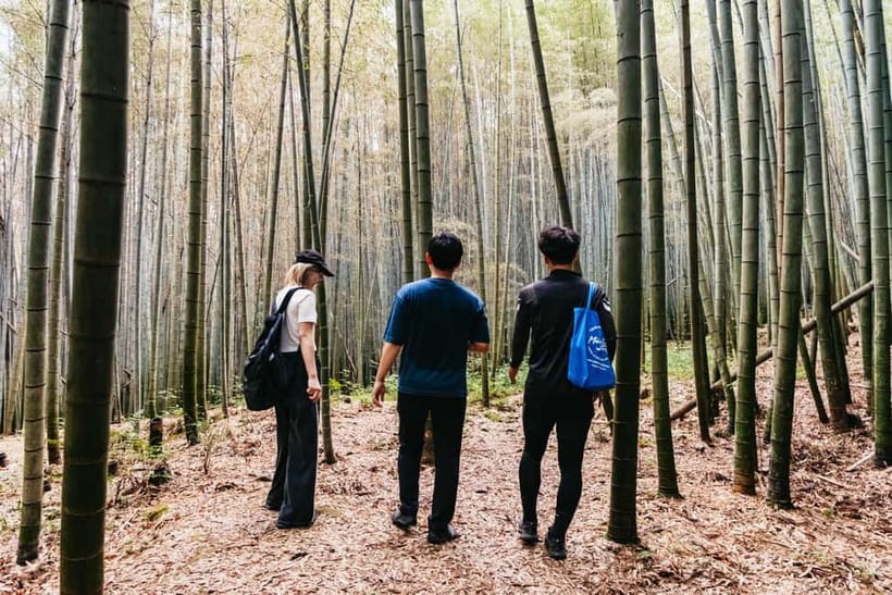 Kyoto: 3-Hour Fushimi Inari Shrine Hidden Hiking Tour - Terrain reality check: how hard is this hike really?