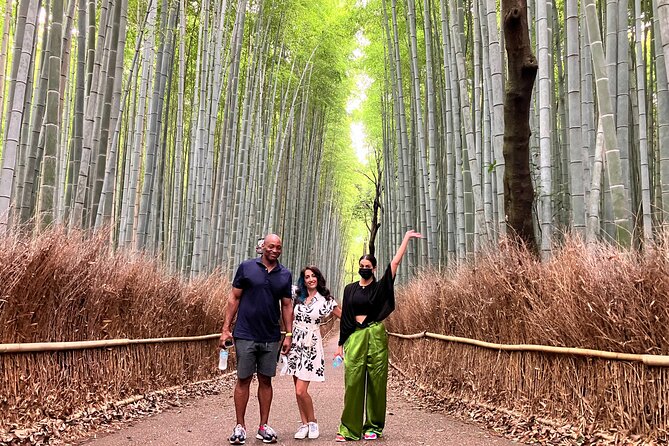Kyoto 8hr Private Tour with Government-Licensed Guide - The golden and the Shogun connections: Kinkakuji and beyond