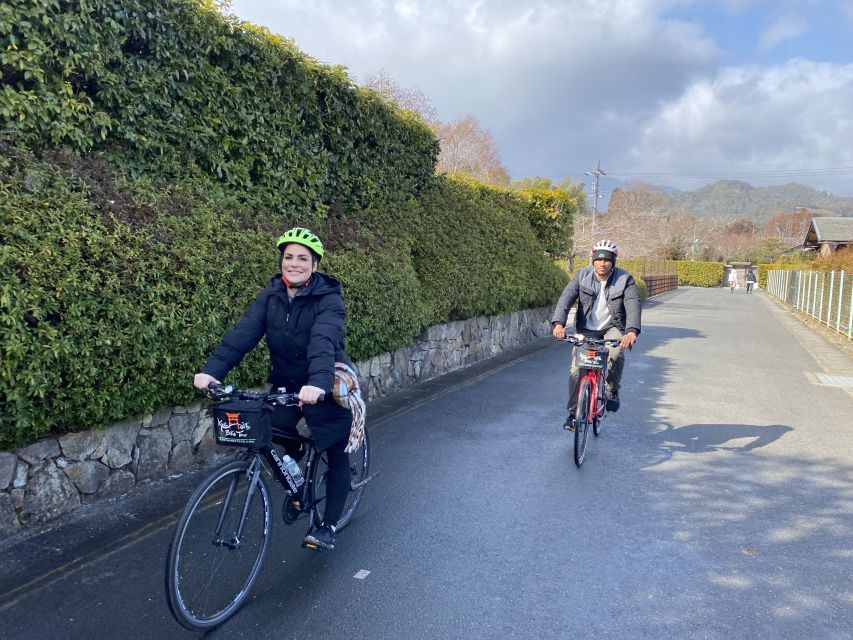 Kyoto: Afternoon Bamboo Forest and Monkey Park Bike Tour - Iwatayama Monkey Park hike: the 20 minute test you should plan for