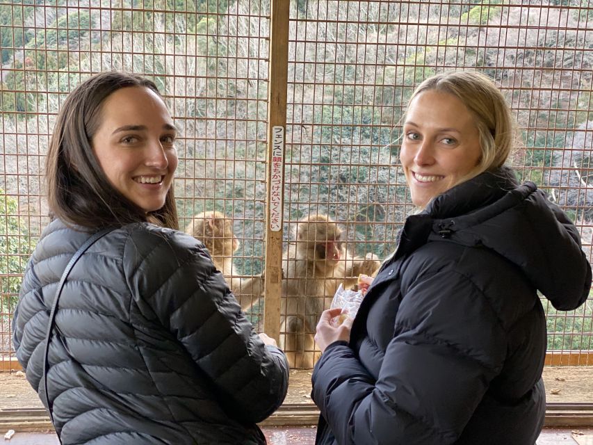 Kyoto: Afternoon Bamboo Forest and Monkey Park Bike Tour - Best fit: who will enjoy this Kyoto bike tour most