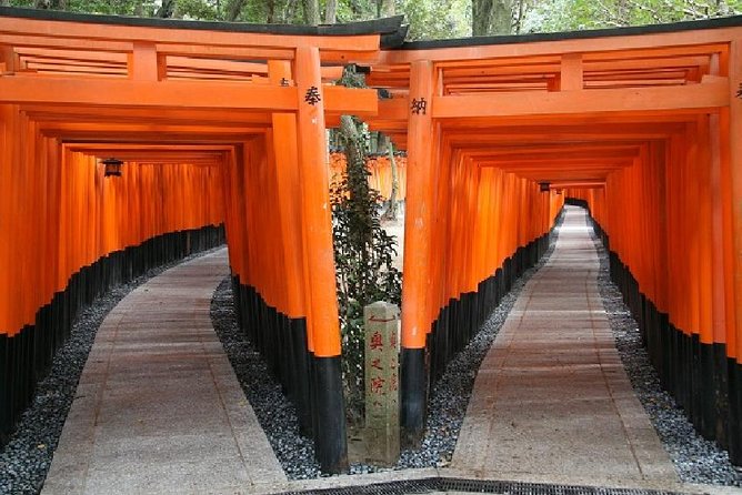Kyoto Afternoon Tour from Kyoto or Osaka - Who should book this tour, and who should skip it