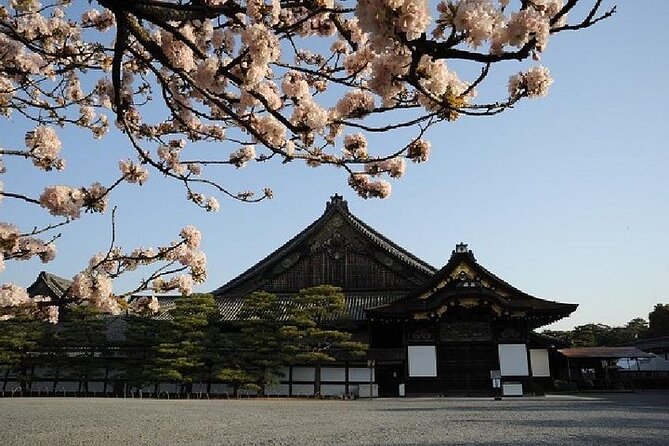 Kyoto and Nara Day Trip from Kyoto - The Nara drive: why air-conditioned transport is more than comfort