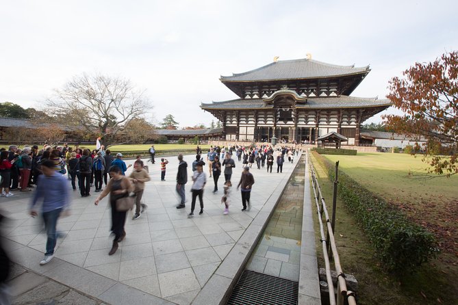 Kyoto and Nara Day Trip from Kyoto - Nara Park and the deer finish: cute, but respect the space