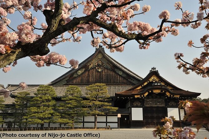 Kyoto and Nara Day Trip from Osaka - Nijo Castle in 50 minutes: carvings outside, stories inside