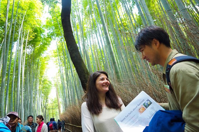 Kyoto Arashiyama Bamboo forest & Garden Half-Day Walking Tour - Price and value: what you’re paying for (and what you’re not)