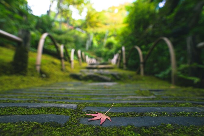 Kyoto Arashiyama Bamboo forest & Garden Half-Day Walking Tour - Bamboo Forest Street: how to get photos without losing the plot