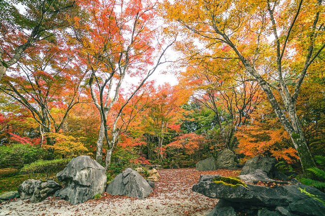 Kyoto Arashiyama Bamboo forest & Garden Half-Day Walking Tour - Lunch near Togetsukyo Bridge, plus matcha and tea snack