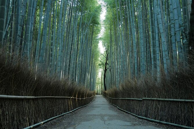 Kyoto Arashiyama Bamboo Forest Hiking Tour（Hidden Temples） - Key points before you go