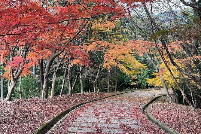 Kyoto Arashiyama Bamboo Forest Hiking Tour（Hidden Temples） - Arashiyama in the morning: why a guided hike changes everything