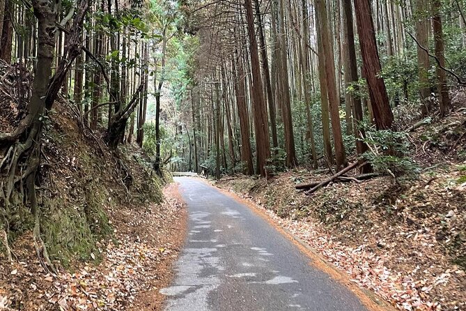 Kyoto Arashiyama Bamboo Forest Hiking Tour（Hidden Temples） - The Adashino Nenbutsu-ji temple stop with 8,000 statues