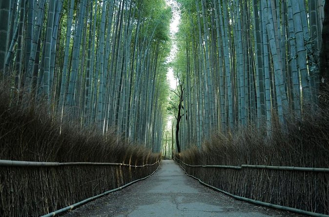 Kyoto Arashiyama Bamboo Forest Hiking Tour（Hidden Temples） - How the guide, like Taira or Daizen, improves the whole day