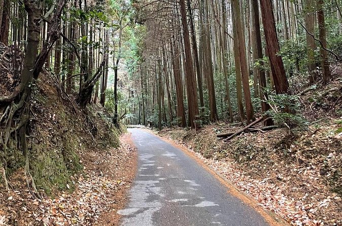 Kyoto Arashiyama Bamboo Forest Hiking Tour（Hidden Temples） - Timing and what a 3-hour experience feels like